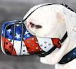 Art dog muzzle, designer leather dog muzzles
