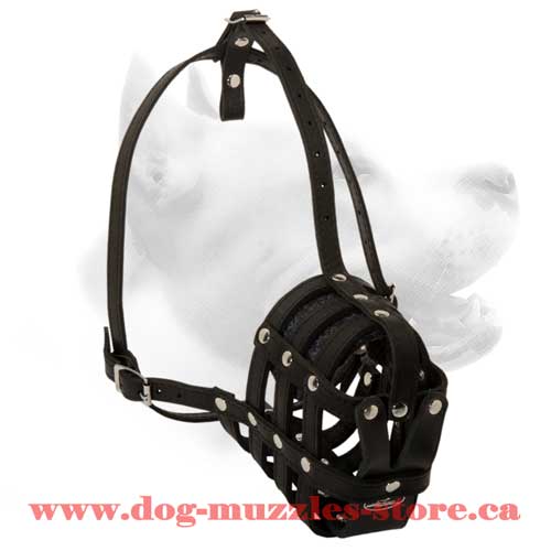Gorgeous Leather  Basket Dog Muzzle