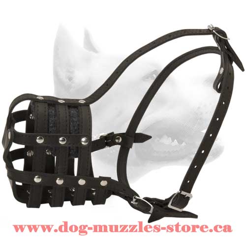 Amazing Leather  Basket Dog Muzzle