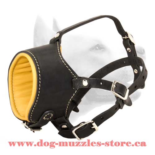 Strict Leather Dog Muzzle