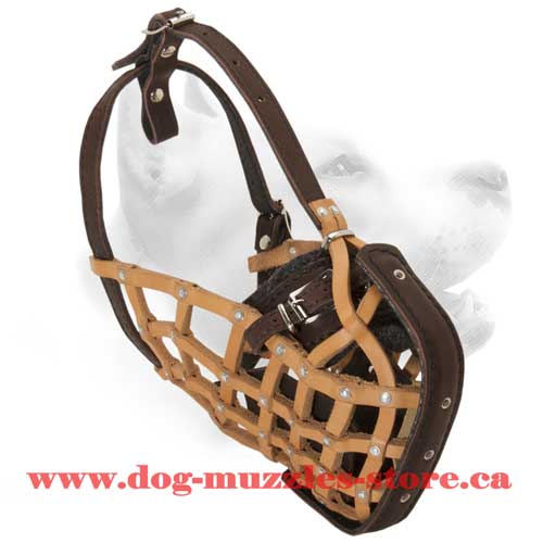 Leather Basket Dog Muzzle For Free Breathing
