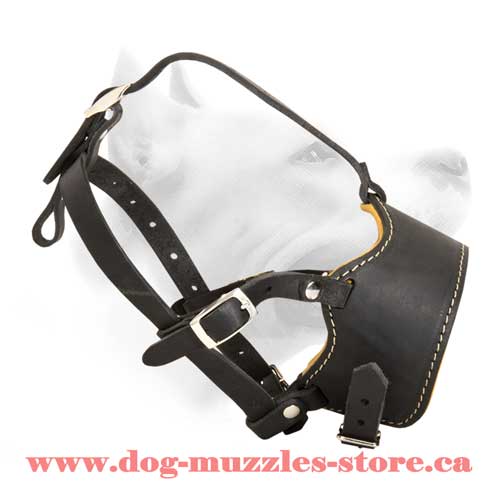Lovely Leather Dog Muzzle