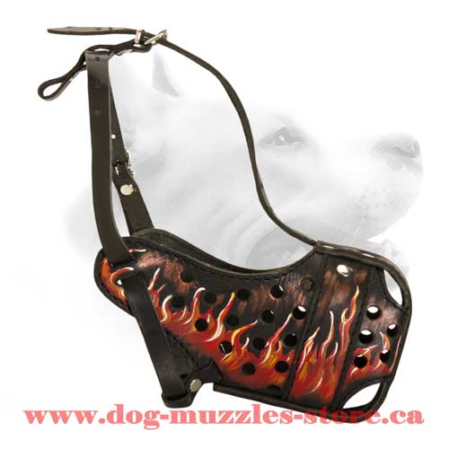 Fascinating Leather Dog Muzzle