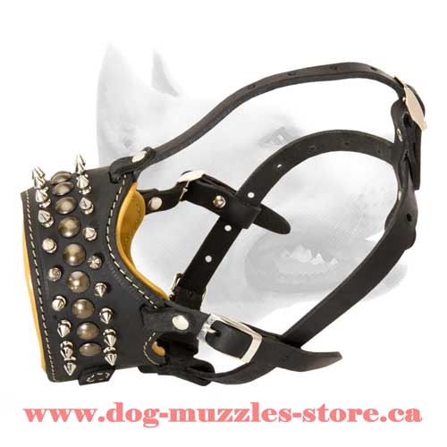 Leather Dog Muzzle For Your Dog's Safety