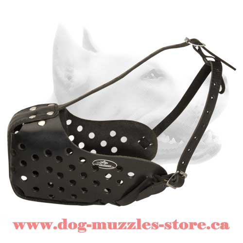 Finely Crafted Leather Dog Muzzle