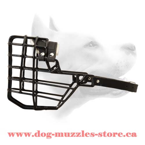 Wire Basket Dog Muzzle For Off Leash Training