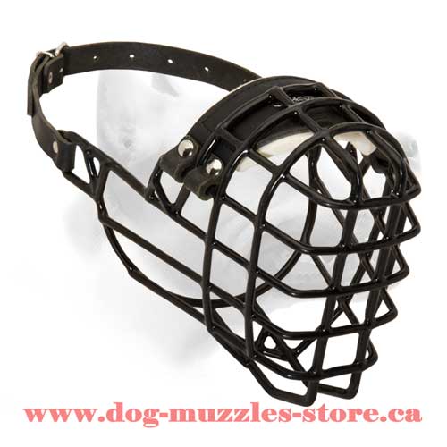 Fine Wire Basket Dog Muzzle