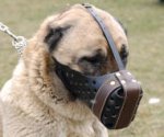 Agitation/Police Dog Muzzle For Anatolian Shepherd-Leather Muzzle