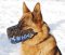 Leather dog muzzle "Dondi"-plus style For GSD-K9
