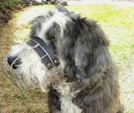 Polish Lowland Sheepdog Wire Muzzle-Cage Basket Dog Muzzle