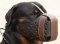 Agitation/Police Dog Muzzle For Rottweiler-Leather Muzzle