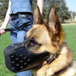 Agitation Leather Dog Muzzle For German Shepherd-training Muzzle