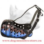 Beautiful Painted Leather Dog Muzzle