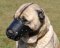 Leather Dog Muzzle for Anatolian Shepherd-Not Latigo Muzzle
