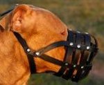 Leather Basket Dog Muzzle for PitBull