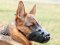 Leather Dog Muzzle for GERMAN SHEPHERD-Not Latigo Muzzle