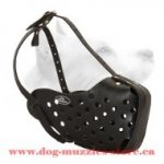 Leather Dog Muzzle For Agitation Training