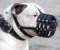 Leather Light Weight Ventilation Muzzle for Argentinian Mastiff
