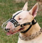 English Bull Terrier Muzzle - Wire Muzzle,Cage Muzzle,Basket Dog Muzzle For English Bull Terrier