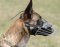 Belgian Malinois Muzzle - Wire Muzzle,Cage Muzzle,Basket Dog Muzzle For Belgian Malinois