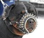 Royal Spiked Leather Dog Muzzle