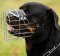 Rottweiler Muzzle - Wire Muzzle,Cage Muzzle,Basket Dog Muzzle For Rottweiler