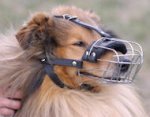 Collie Muzzle - Wire Muzzle,Cage Muzzle,Basket Dog Muzzle For Collie