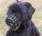 Black Russian Terrier Muzzle - Wire Muzzle,Cage Muzzle,Basket Dog Muzzle For Black Russian Terrier