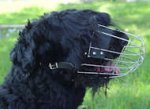 Black Russian Terrier Muzzle - Wire Muzzle,Cage Muzzle,Basket Dog Muzzle For Black Russian Terrier