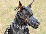 Leather Basket Dog Muzzle for Doberman