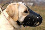 Leather Dog Muzzle for Labrador Retriever-Not Latigo Muzzle