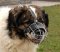 Caucasian Shepherd Muzzle - Wire Muzzle,Cage Muzzle,Basket Dog Muzzle For Caucasian Shepherd