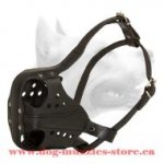 Leather Dog Muzzle For Working Dogs