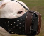 Agitation/Police Dog Muzzle For PitBull-Leather Muzzle