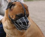 Bullmastiff Muzzle - Wire Muzzle,Cage Muzzle,Basket Dog Muzzle For Bullmastiff