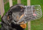 Rottweiler Muzzle- Wire Muzzle,Cage Muzzle,Basket Dog Muzzle For Rottweiler