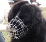 Newfoundland Muzzle - Wire Muzzle,Cage Muzzle,Basket Dog Muzzle For Newfoundland