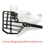 Medium Wire Cage Muzzle For Cold Weather