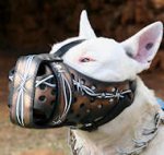 Barbed Wire Painted Leather Dog Muzzle