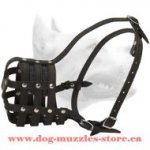 Medium Leather Dog Muzzle For Free Breathing