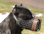Agitation/Police Dog Muzzle For Cane Corso-Leather Muzzle