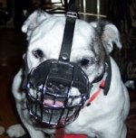 British Bulldog Muzzle - Wire Muzzle,Cage Muzzle,Basket Dog Muzzle For British Bulldog