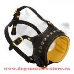 Leather Dog Muzzle For Obedience Training