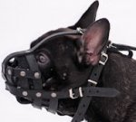 French Bulldog Light Weight Ventilation-small leatthe muzzle M41