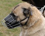 Anatolian Shepherd Muzzle - Wire Muzzle,Cage Muzzle,Basket Dog Muzzle For Anatolian Shepherd
