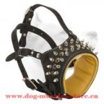 Gorgeous Medium Leather Dog Muzzle For Stylish Dogs