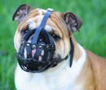 Leather Basket Dog Muzzle for British Bulldog