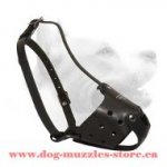 Medium Everyday Leather Dog Muzzle