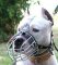 Staffordshire Terrier Muzzle - Wire Muzzle,Cage Muzzle,Basket Dog Muzzle For Staffordshire Terrier