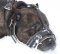 Cane corso Royal Nappa Leather Dog Muzzle